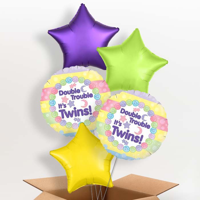 Twins Balloons in a Box - 5 Balloon | Small Indoor Plants