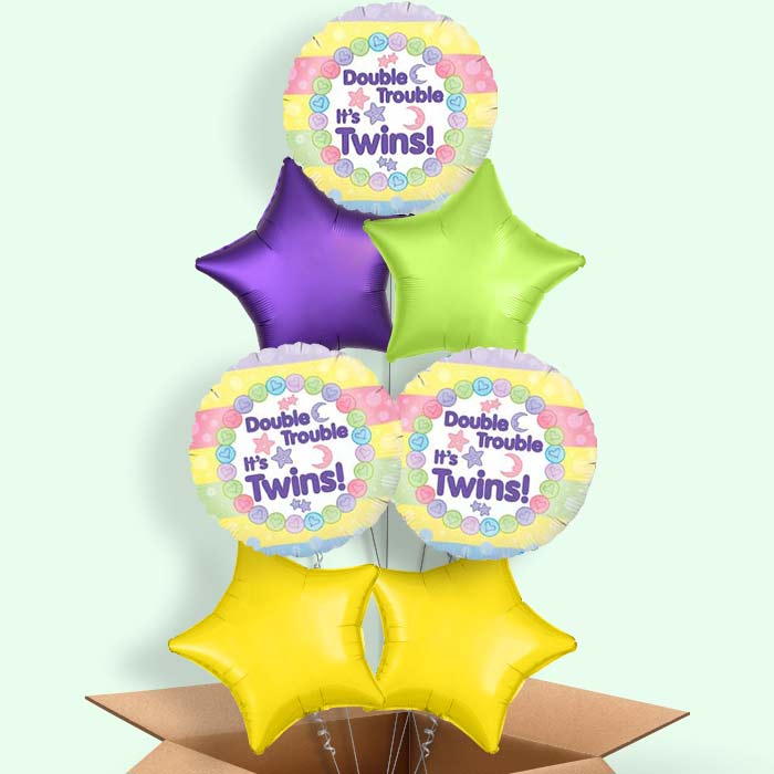Twins Balloons in a Box - 7 Balloon | Small Indoor Plants