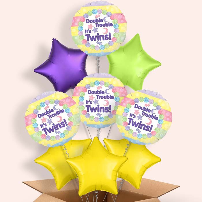 Twins Balloons in a Box - 9 Balloon | Small Indoor Plants
