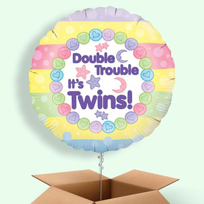 Twins Balloons in a Box - 1 Balloon | Small Indoor Plants