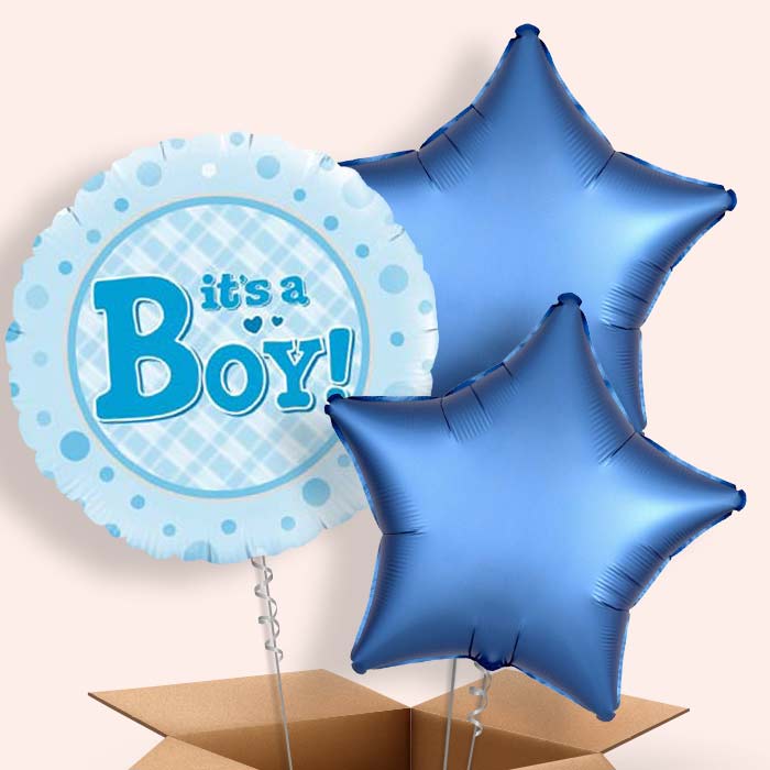 New Baby Balloons in a Box (It's a Boy) - 3 Balloon | Small Indoor Plants