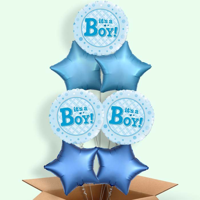 New Baby Balloons in a Box (It's a Boy) - 7 Balloon | Small Indoor Plants