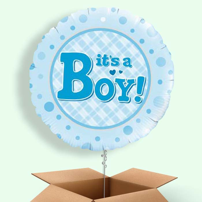 New Baby Balloons in a Box (It's a Boy) - 1 Balloon | Small Indoor Plants