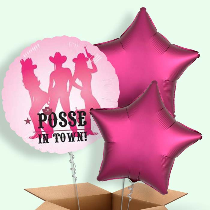 Hen Party Balloons in a Box (Posse)