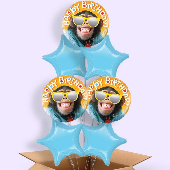 Monkey Balloon in a Box