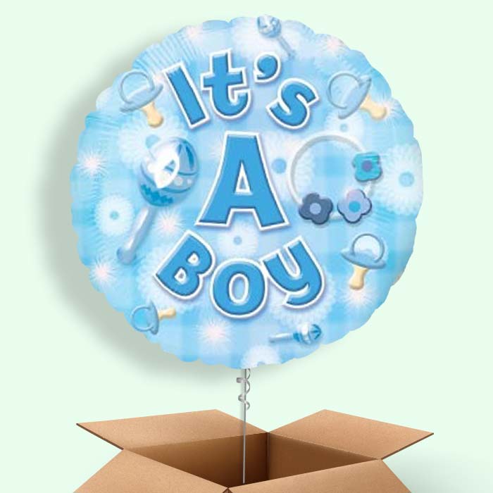 New Baby Boy Balloons in a Box (Baby Boy) - 1 Balloon | Small Indoor Plants