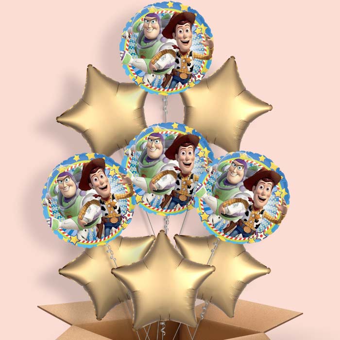 Toy Story Balloon in a Box - 9 Balloon | Small Indoor Plants