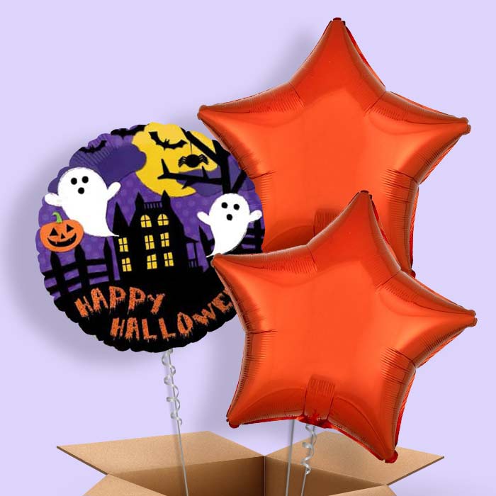 Halloween Balloon in a Box (Bat) - 3 Balloon | Small Indoor Plants