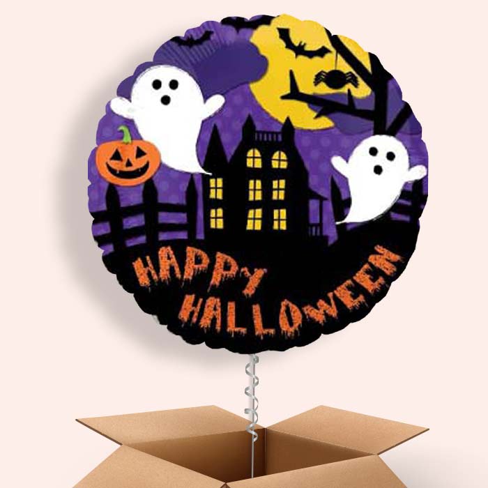 Halloween Balloon in a Box (Bat) - 1 Balloon | Small Indoor Plants