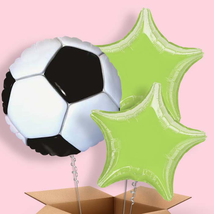 Football Themed Balloons in a Box - 3 Balloon | Small Indoor Plants