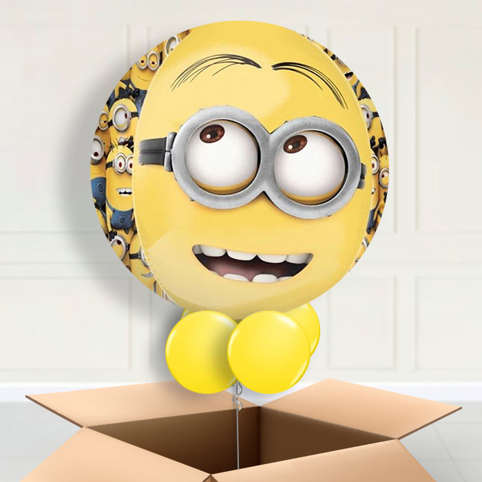 Minions Orbz Balloon in a Box - Orbz Balloon | Small Indoor Plants