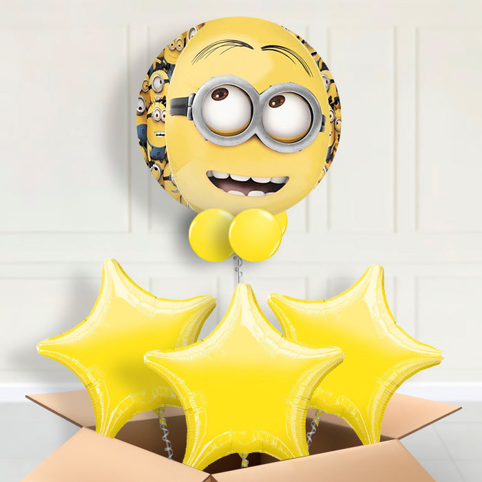 Minions Orbz Balloon in a Box - Orbz Balloon with 3 Balloons | Small Indoor Plants