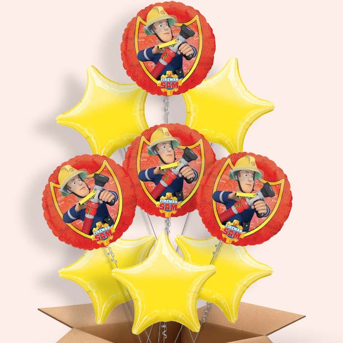 Fireman Sam Balloons in a Box (Hose) - 9 Balloon | Small Indoor Plants