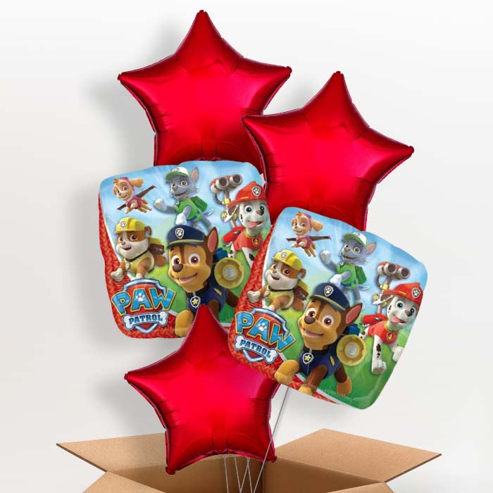 Red Paw Patrol Helium Balloons in a Box - 5 Balloon | Small Indoor Plants