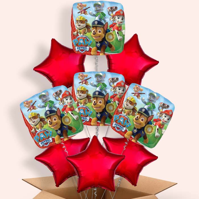 Red Paw Patrol Helium Balloons in a Box - 9 Balloon | Small Indoor Plants