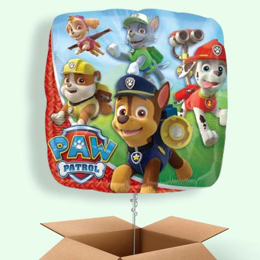 Red Paw Patrol Helium Balloons in a Box - 1 Balloon | Small Indoor Plants