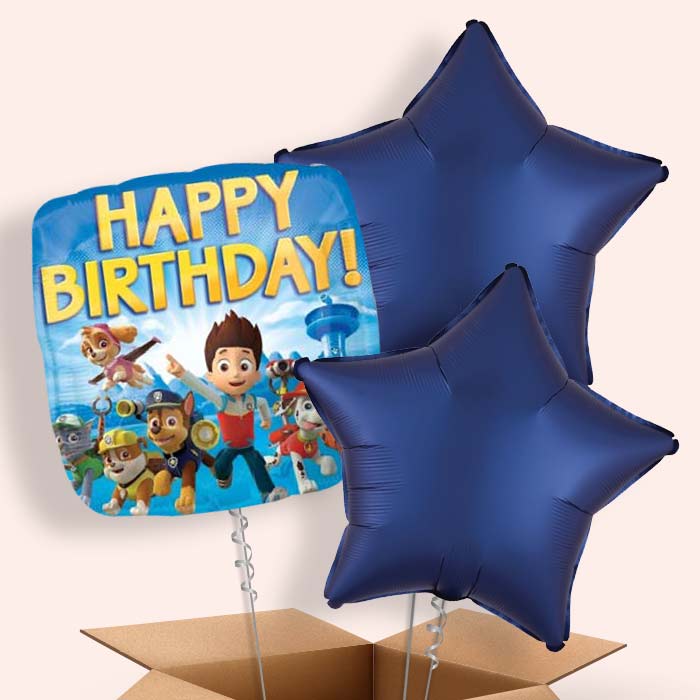 Paw Patrol Birthday Balloons in a Box - 3 Balloon | Small Indoor Plants