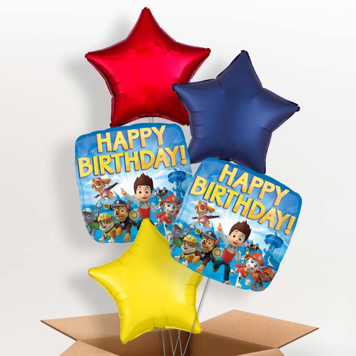 Paw Patrol Birthday Balloons in a Box - 5 Balloon | Small Indoor Plants