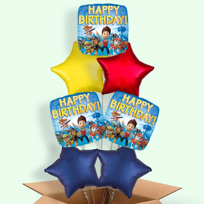 Paw Patrol Birthday Balloons in a Box - 7 Balloon | Small Indoor Plants