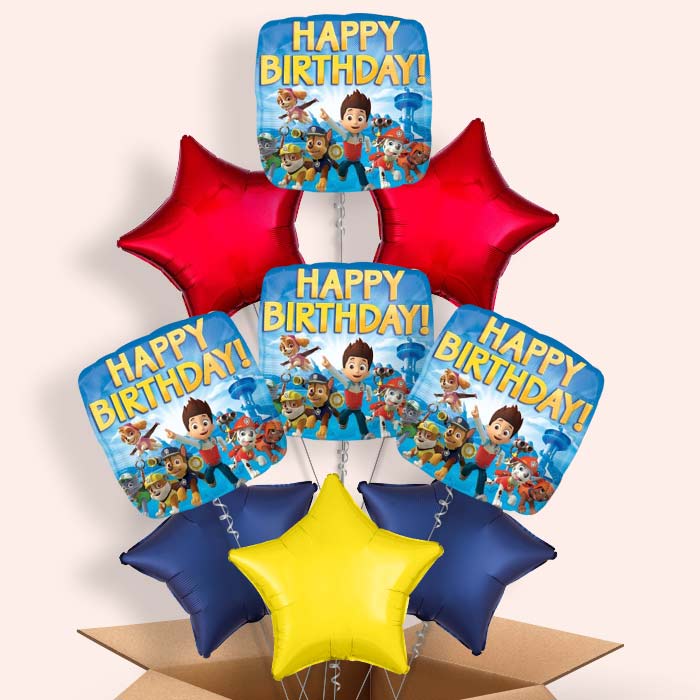 Paw Patrol Birthday Balloons in a Box - 9 Balloon | Small Indoor Plants