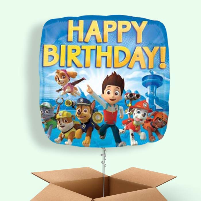 Paw Patrol Birthday Balloons in a Box - 1 Balloon | Small Indoor Plants