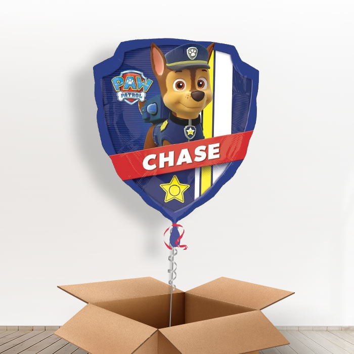 Giant Paw Patrol Balloon in a Box - Giant Balloon | Small Indoor Plants