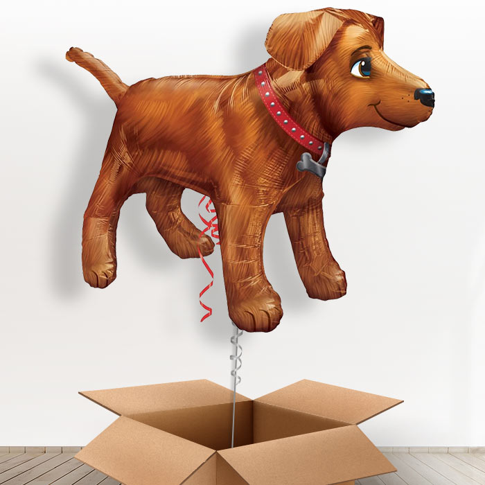 Giant Dog Helium Balloon in a Box - Giant Balloon | Small Indoor Plants