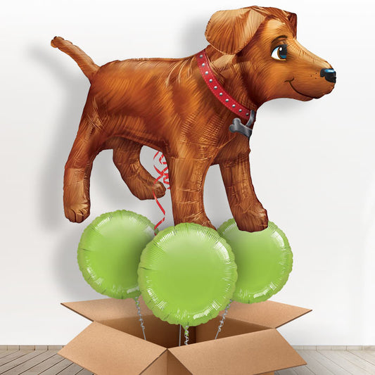 Giant Dog Helium Balloon in a Box - With 3 Themed Balloons | Small Indoor Plants
