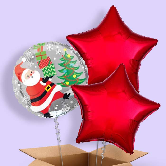 Christmas Santa & Penguin Balloon in a Box - 3 Balloon | Small Indoor Plants