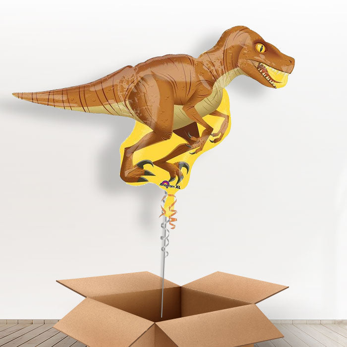 Raptor Giant Balloon Dinosaur in a Box - Giant Balloon | Small Indoor Plants