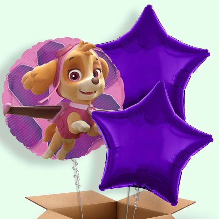 Skye Paw Patrol Balloons in a Box
