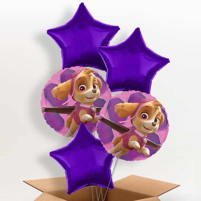 Skye Paw Patrol Balloons in a Box