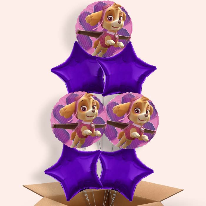Skye Paw Patrol Balloons in a Box