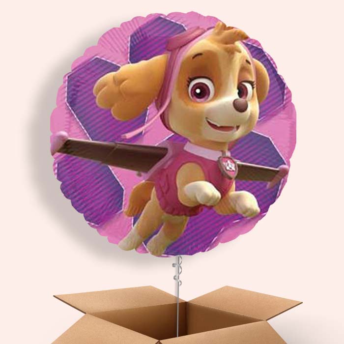 Skye Paw Patrol Balloons in a Box - 1 Balloon | Small Indoor Plants