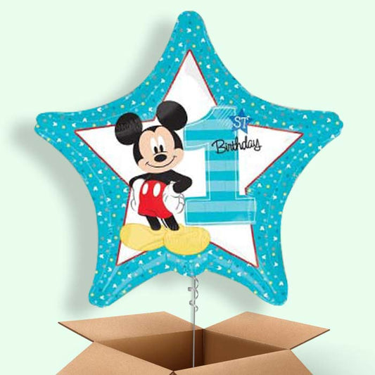 Mickey Mouse 1st Birthday Balloons in a Box - 1 Balloon | Small Indoor Plants