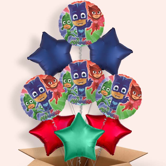 PJ Masks Balloons in a Box - 9 Balloon | Small Indoor Plants
