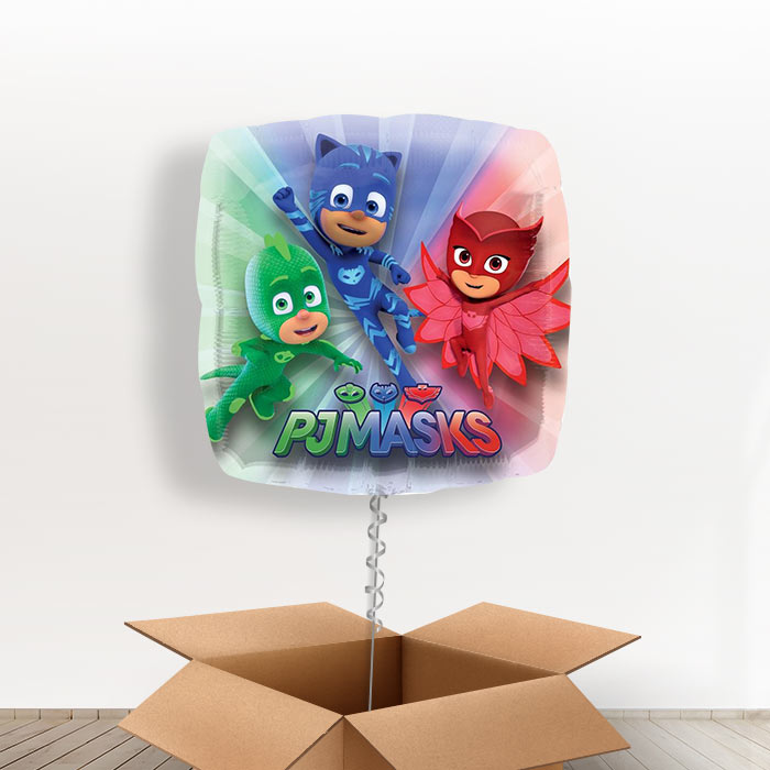 Giant PJ Mask Balloons in a Box - Giant Balloon | Small Indoor Plants