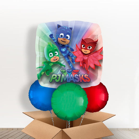 Giant PJ Mask Balloons in a Box - With 3 Themed Balloons | Small Indoor Plants