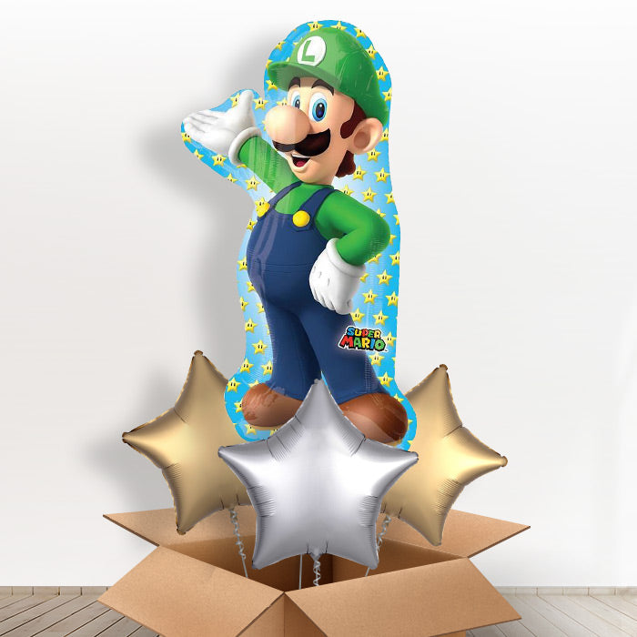 Large Luigi Balloon in a Box - With 3 Themed Balloons | Small Indoor Plants