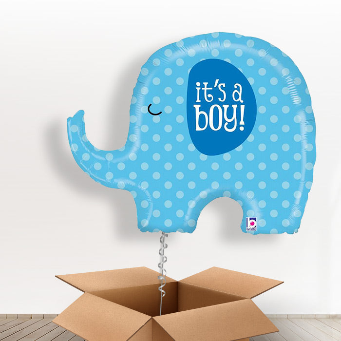 Blue Elephant Its a Boy Balloon in a Box - Giant Balloon | Small Indoor Plants