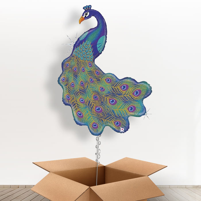 Giant Peacock Balloon in a Box - Giant Balloon | Small Indoor Plants