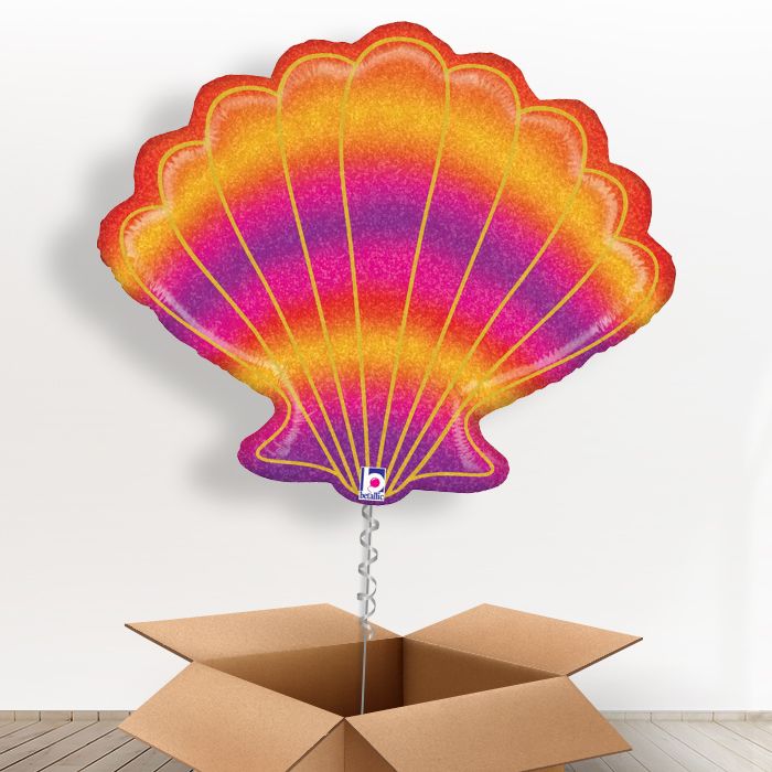 Seashell Balloons in a Box Gift - Giant Balloon | Small Indoor Plants