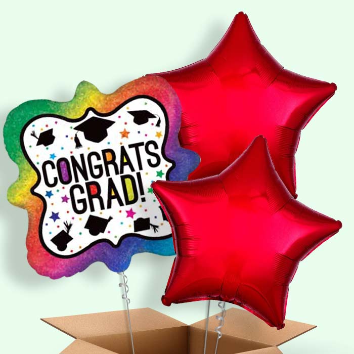 Rainbow Graduation Balloons Delivered in a Box - 3 Balloon | Small Indoor Plants