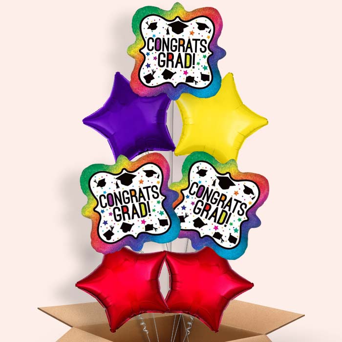 Rainbow Graduation Balloons Delivered in a Box - 7 Balloon | Small Indoor Plants