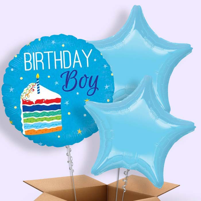 Birthday Boy Cake Blue Balloon in a Box - 3 Balloon | Small Indoor Plants