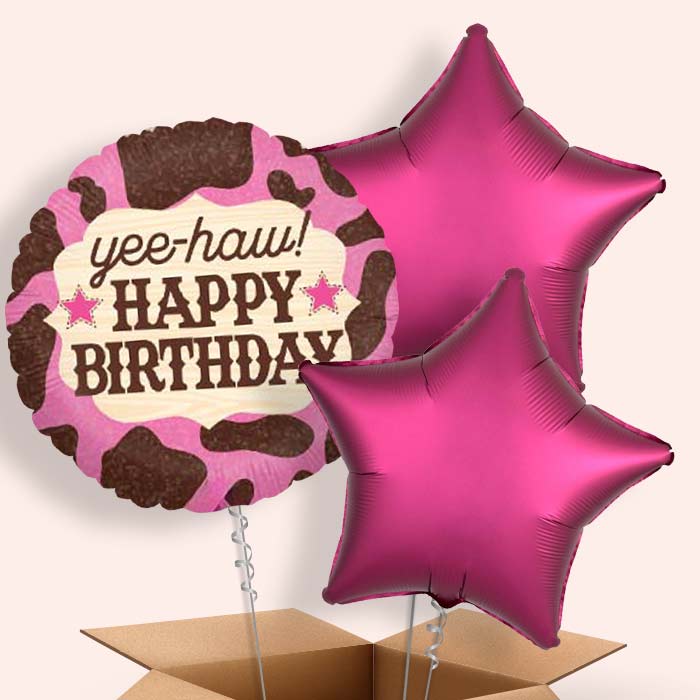 Cowgirl Balloons in a Box - 3 Balloon | Small Indoor Plants