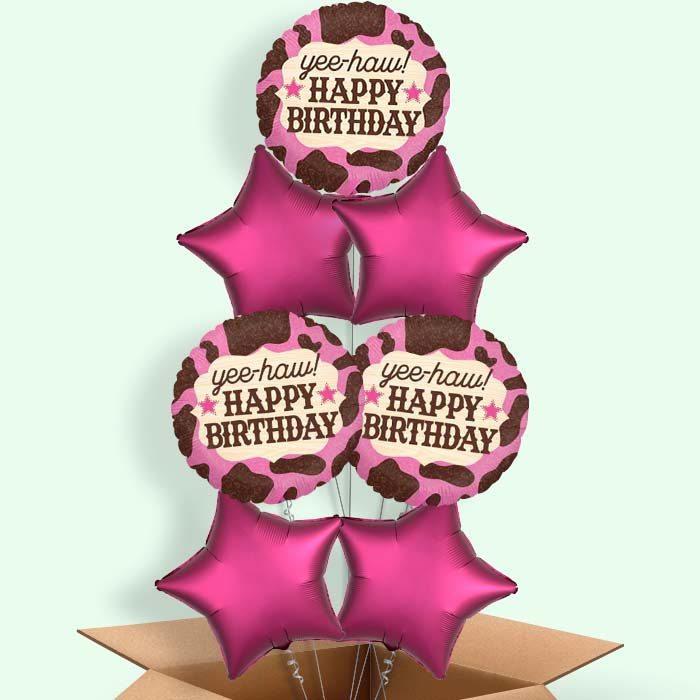 Cowgirl Balloons in a Box - 7 Balloon | Small Indoor Plants