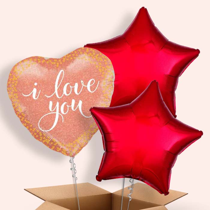 I Love You Balloons in a Box (Rose Gold) - 3 Balloon | Small Indoor Plants