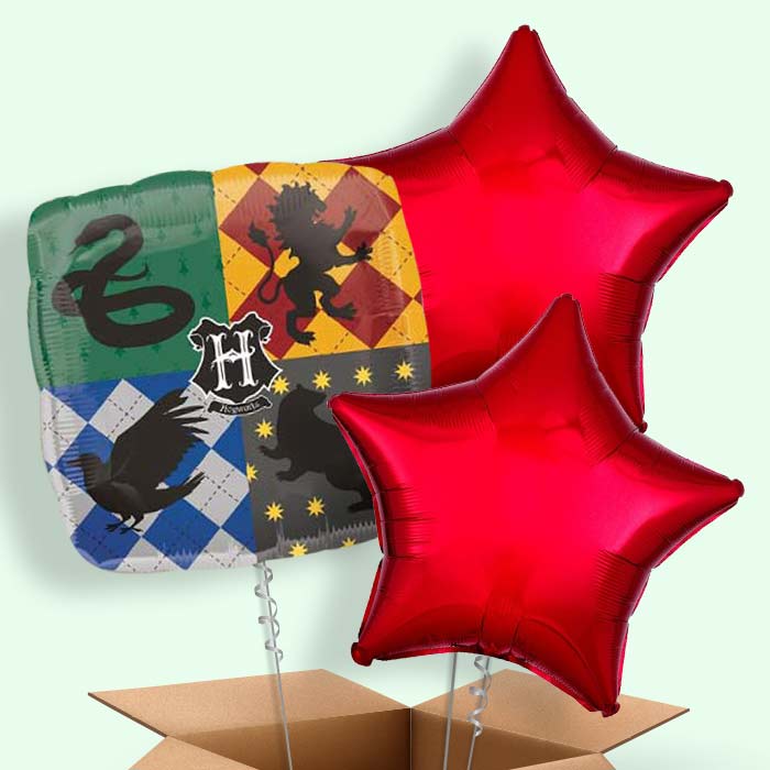 Harry Potter Balloons in a Box (Hogwarts) - 3 Balloon | Small Indoor Plants