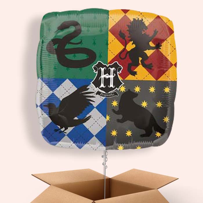 Harry Potter Balloons in a Box (Hogwarts) - 1 Balloon | Small Indoor Plants